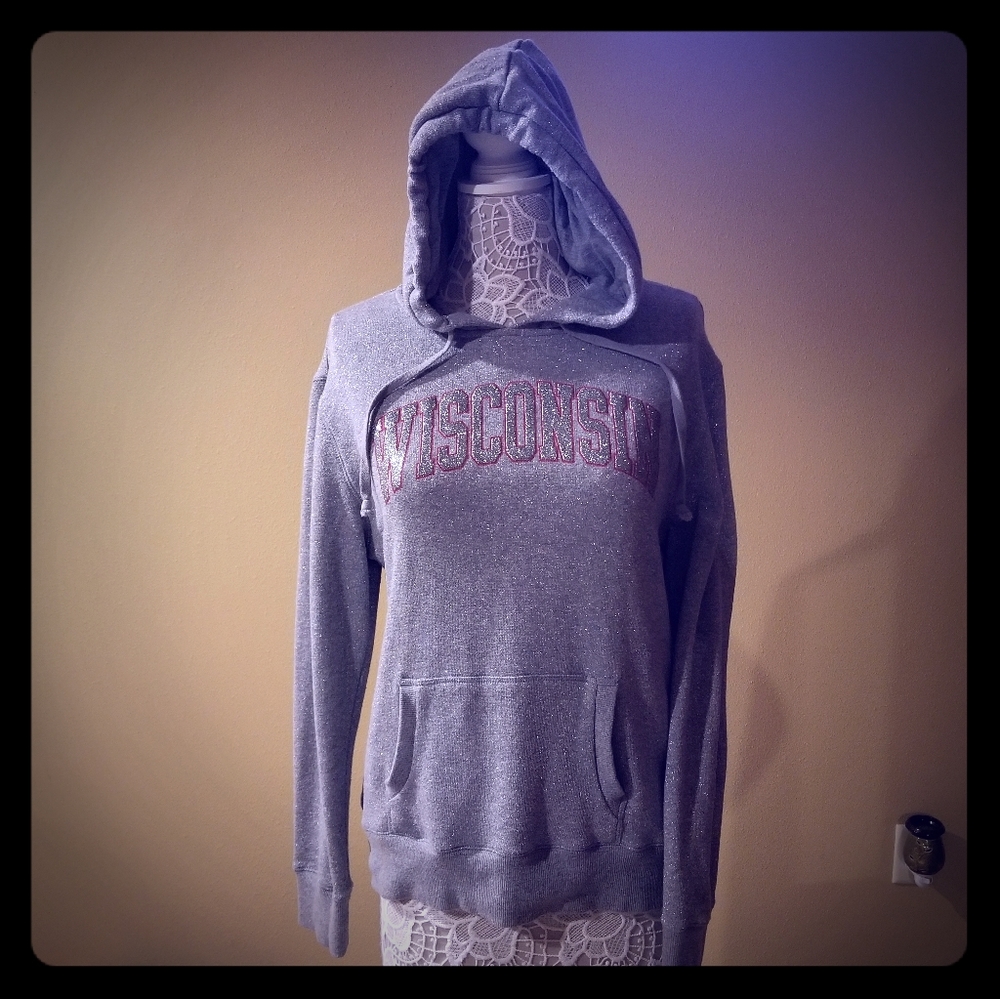 Camp David Wisconsin Badger sweatshirt